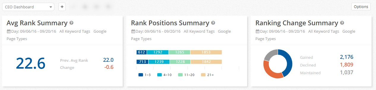 ceo level dashboard